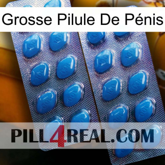 Grosse Pilule De Pénis viagra2